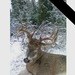 Meet your Posher, Troy